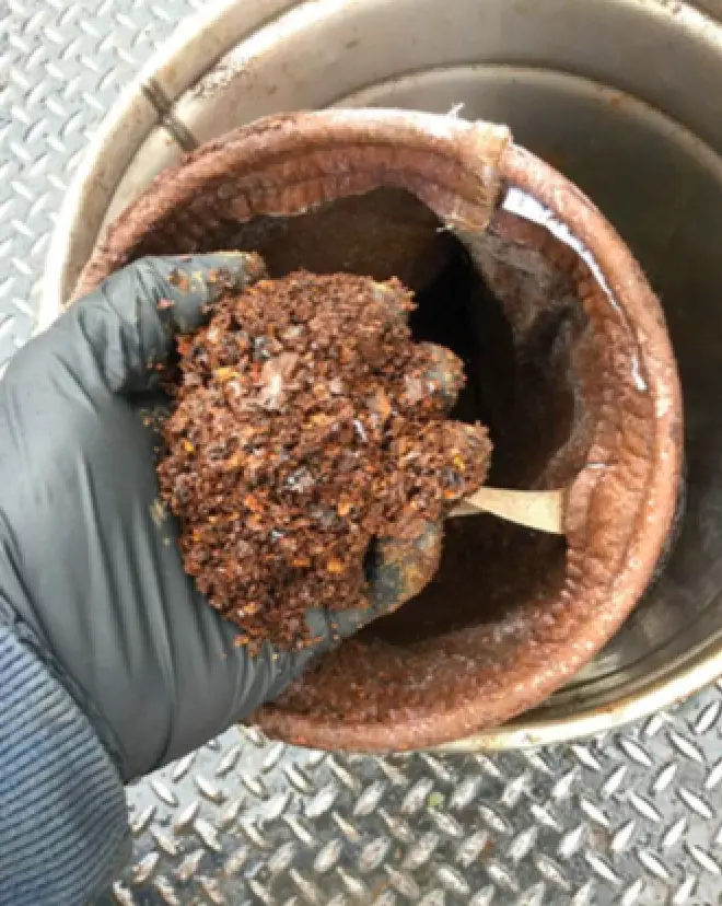 Person composting organic waste for sustainable soil enrichment over a stainless steel container.