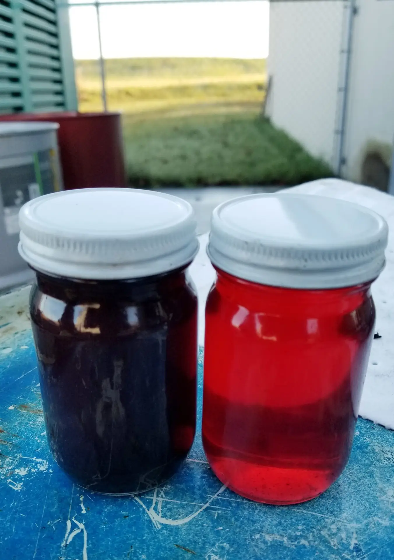 Homemade Jams and Syrups in the Sunshine