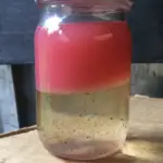 Vibrant Liquid Layers in a Glass Jar